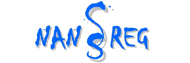 FP7 NANoREG